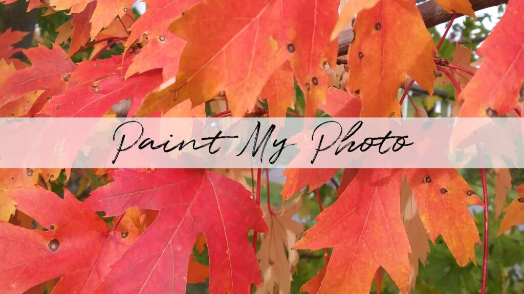 A close up of bright red and orange fall leaves with the title "Paint my Photo", which is the name of a social networking site.