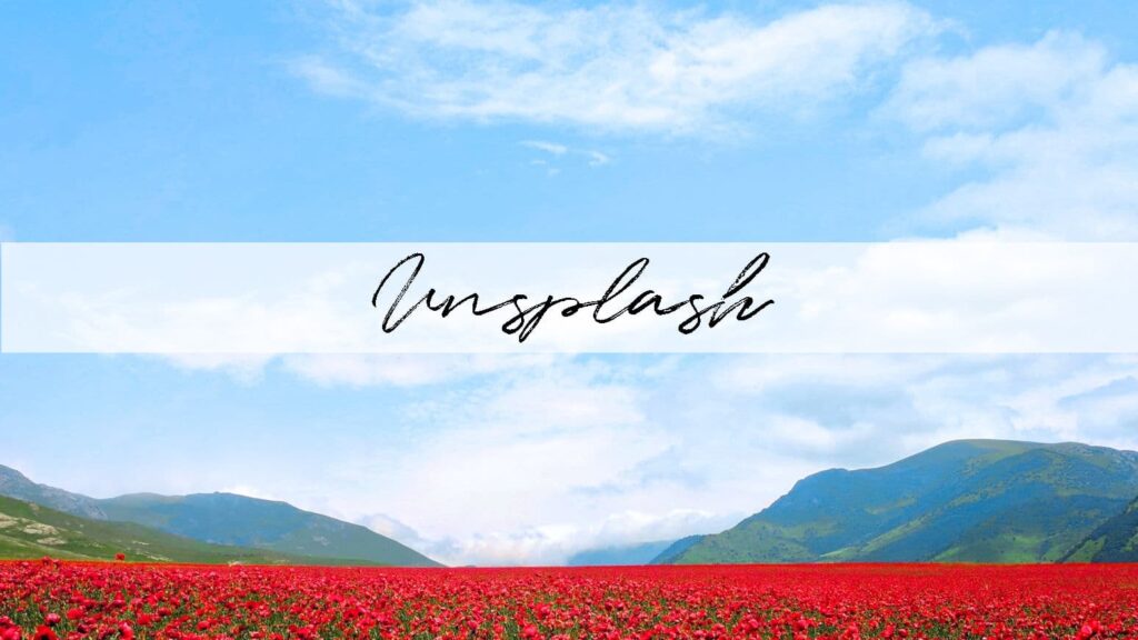 A bright red poppy field with mountains and a blue sky in the distance. This photo is an example of the type of images you can find on the Unsplash website when looking for free images to paint.