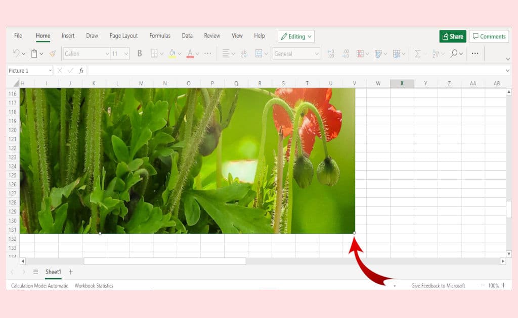 Screenshot showing how to enlarge a photo by clicking and dragging from the corner of the photo in free Excel online