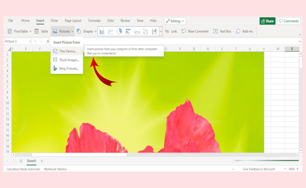 Screenshot of poppy image and a red arrow pointing to the steps needed to insert an image in free Excel online
