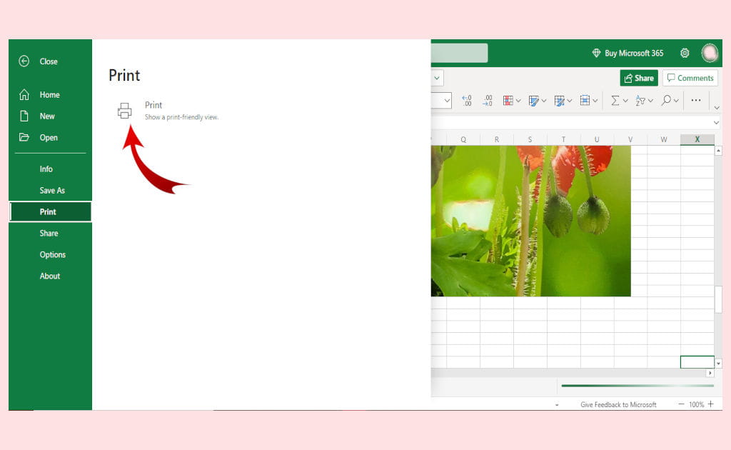 Free MS Excel online and how to open the Print dialog box so you can change the settings