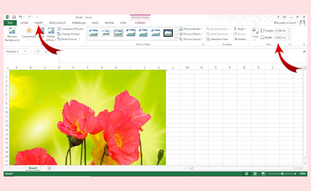 Screenshot of Excel for Desktop with the poppy photo inserted on top of the cells