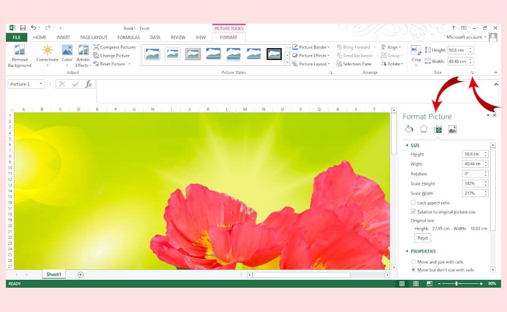 Screenshot of poppy photo in Excel for desktop with the formatting dialog opened so you can change the settings to properly resize an image for tracing