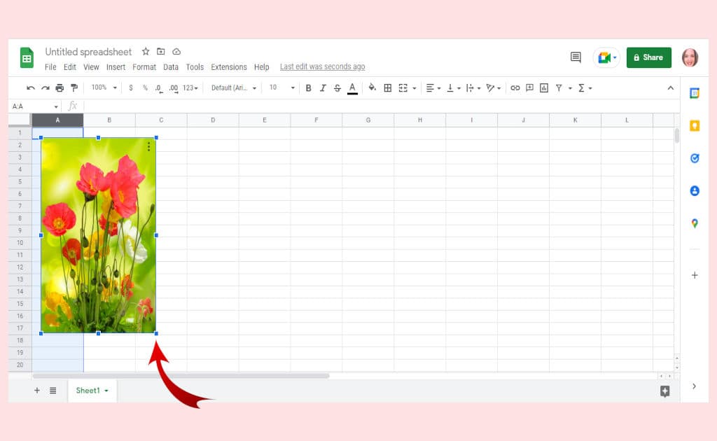 Free Google Sheets online screenshot showing where to place your cursor to resize an image for tracing