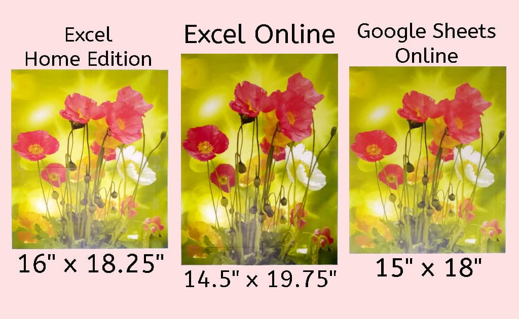 Side-by-side resize comparison of the poppy photo using Excel Home Edition, free Excel online, and free Google Sheets online