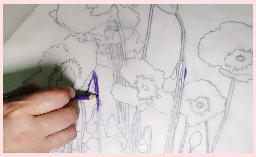 A hand holding a purple watercolor pencil while scribbling over the lines of the poppy composition on the parchment paper