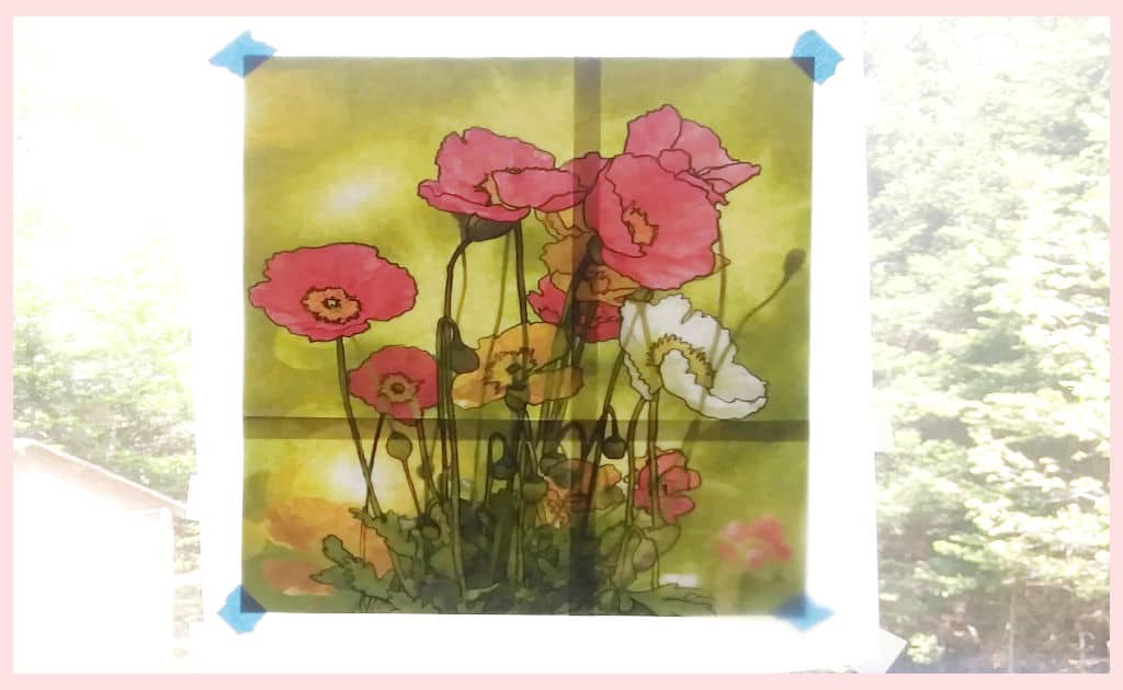 A poppy image taped to a window with a sheet of parchment paper taped over top