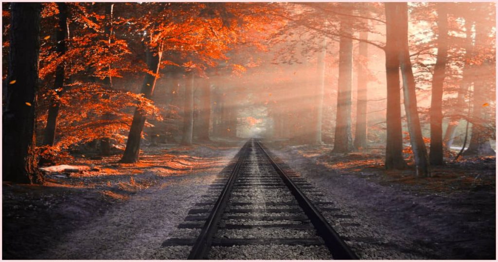 Sunlight filtering through tall trees with bright orange leaves and train tracks that get narrow and closer together as they fade off into the distance. This is a prime example of how to use the vanishing point in art.