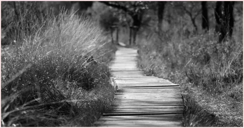 A black and white photo of a wooden boardwalk winding into the distance through tall beach grass.