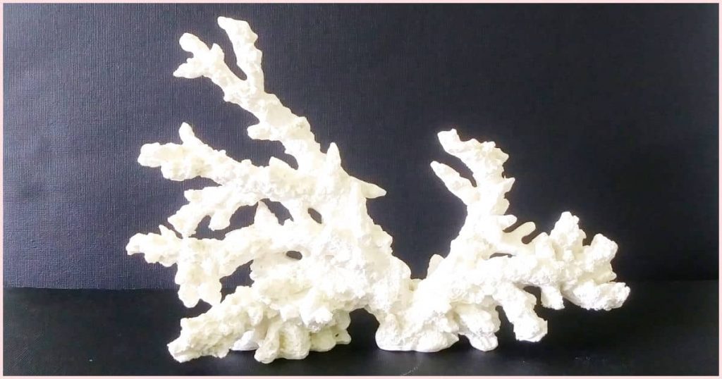 A reference photo of a piece of white imitation reef coral against a black canvas background.