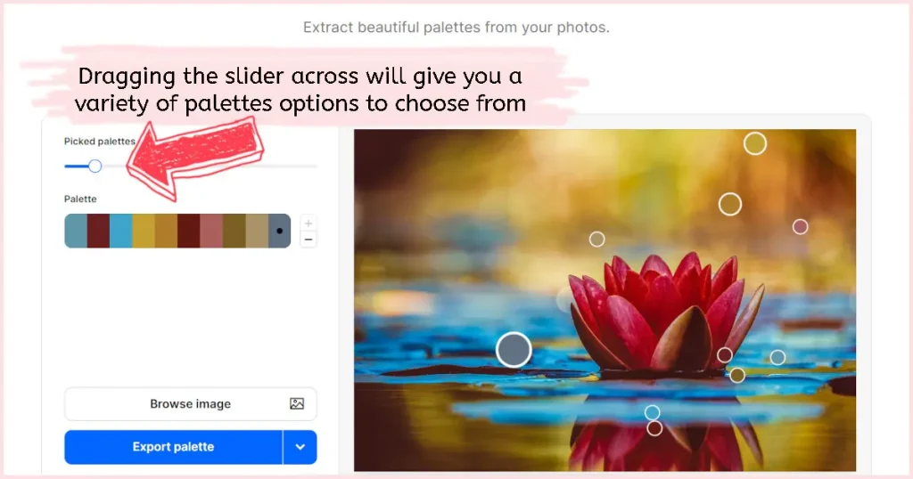 A large pink arrow pointing at the Picked palettes slider to show how you can change the entire palette of colors all at once.