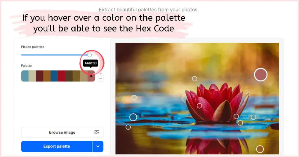 A pink circle around a hex code that will show up if you hover over the color on the palette.