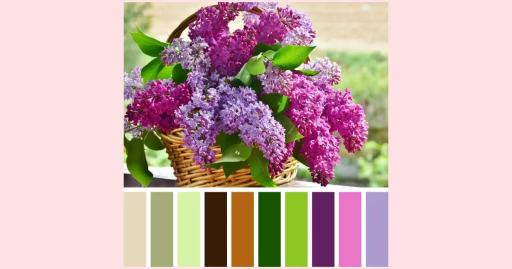A wooden basket with a bouquet of dark and light purple lilac branches. Included is a palette of ten colors from the image.
