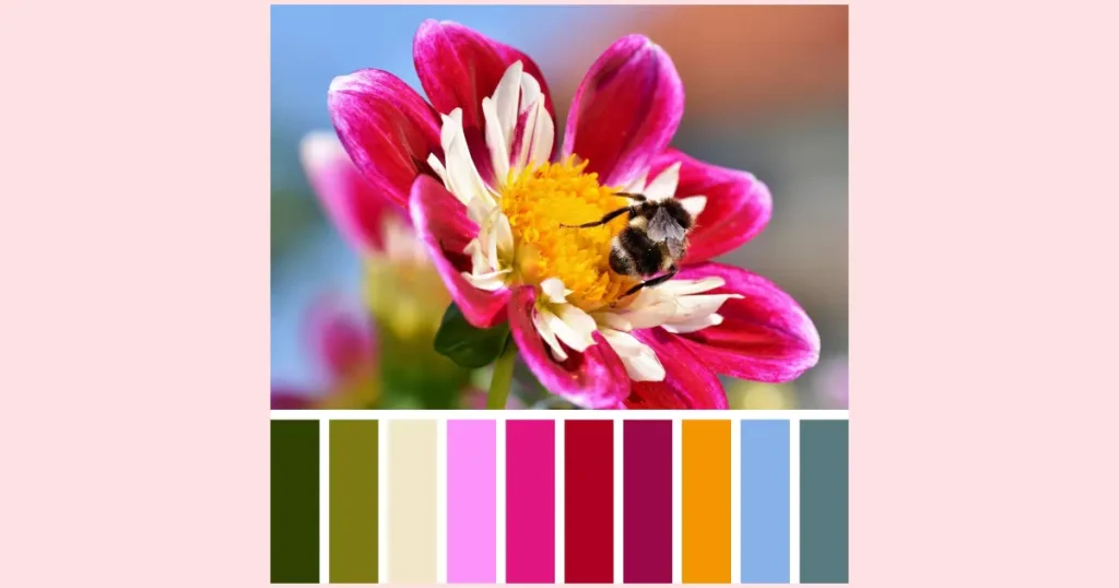 A bright pink flower, with a yellow center, and a bee collecting pollen. Underneath the photo is a custom color palette with ten colors chosen from the image.