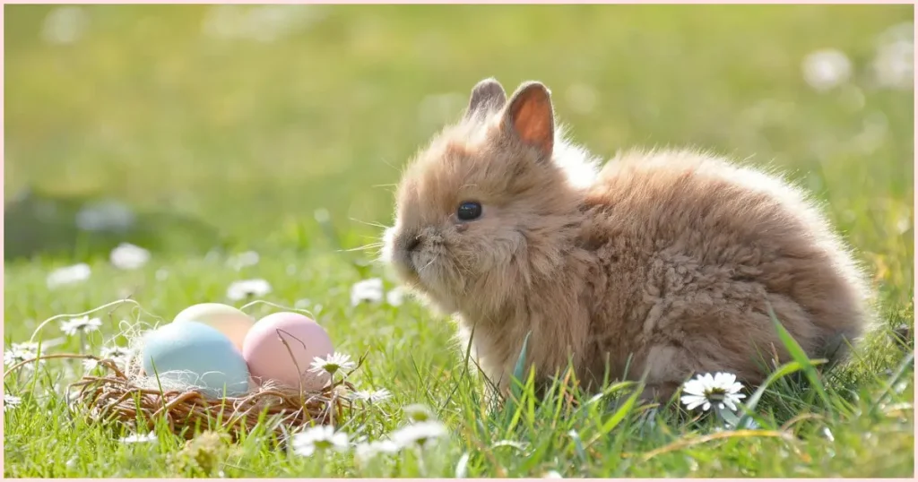 A baby bunny with caramel colored fur and short ears sitting in the green grass with a basket of pastel colored eggs in front of it.