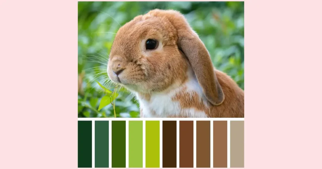 Another example of a simple rabbit painting idea that features a caramel brown bunny with white spots and long floppy ears sitting amongst the green grass and munching on a bit of bright spring greenery. Underneath the photo is a row of colors that can be used to paint this image.